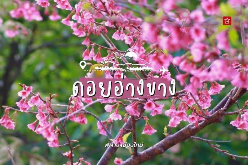 กรุงเทพไปเชียงใหม่, จองตั๋วเครื่องบิน, ดอยอ่างขาง, ตั๋วเครื่องบินไปเชียงใหม่, ม่อนแจ่ม, อุทยานแห่งชาติดอยอินทนนท์, เที่ยวเชียงใหม่, พิกัดที่ต้องปักหมุดก่อนจองตั๋วเครื่องบินไปเชียงใหม่!