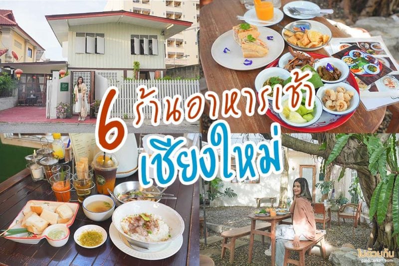 ใต้ถุนบ้าน ร้านอาหารเช้าเชียงใหม่ สุดวินเทจสีเขียวอ่อน เอกลักษณ์คือใต้ถุนเตี้ยถ่ายรูปน่ารักปุ๊ก ปิ๊ก มาก , อรุณสวัสดิ์ ร้านอาหารเช้าเชียงใหม่ ย้อนยุคแบบจีน ขนมปังสังขยาอร่อย , ๗โมง ทานอาหารเช้าในแสงอุ่น มีชุดขันโตกทางเหนือ ข้าวจี่ปาเต้อร่อยต้องสั่ง, โกเผือก โกดำ ร้านอาหารเช้าในตำนาน ทีเด็ดขนมปังชาโคว์, ชามเช้า ร้านอาหารเช้าเชียงใหม่ แซนวิชทูน่าอร่อยมาก ต้องซื้อกลับบ้าน , บ้าน บ้าน ข้างแกงวินเทจ อร่อยทุกอย่าง ยันน้ำปลาพริก , แจกพิกัด 6&nbsp;ร้านอาหารเช้าเชียงใหม่ เติมความอร่อย ในร้านบรรยากาศน่ารัก
