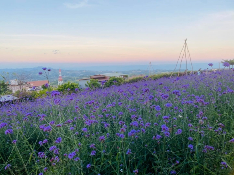 b.n. farm, จุดชมวิววัดกองเนียม, ตะเคียนโง๊ะ, ถนนคนเดินไทหล่ม, ที่ทำการไปรษณีย์เขาค้อ, ที่เที่ยวเพชรบูรณ์, ที่เที่ยวเพชรบูรณ์ 2023, ที่เที่ยวเพชรบูรณ์ 2566, ทุ่งกังหันลมเขาค้อ, น้ำตกศรีดิษฐ์, พระบรมธาตุเจดีย์กาญจนาภิเษก, พระพุทธมหาธรรมราชาเฉลิมพระเกียรติ, พิพิธภัณฑ์อาวุธเขาค้อ, ภูทับเบิก, ภูหินร่องกล้า, ภูแผงม้า, วัดกองเนียม, วัดธรรมยาน, วัดพระธาตุผาซ่อนแก้ว, สกายวอล์คภูเลิศ, สะพานพ่อขุนผาเมือง, สะพานห้วยตอง, อุทยานแห่งชาติตาดหมอก, อุทยานแห่งชาติทุ่งแสลงหลวง, อุทยานแห่งชาติน้ำหนาว, เขาค้อ, เขาค้อ 2023, เขาตะเคียนโง๊ะ, เที่ยวเพชรบูรณ์, เพชรบูรณ์, แก่งบางระจัน, ไร่ gb เขาค้อ, ไร่ บี.เอ็น. ฟาร์ม, ไร่จีบี เขาค้อ, top 20+ ที่เที่ยวเพชรบูรณ์ [กรกฎาคม 2024] สัมผัสทะเลหมอกสุดฟิน เที่ยวชมดินแดนแห่งธรรมชาติ