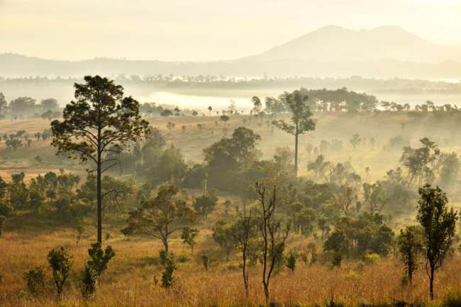 b.n. farm, จุดชมวิววัดกองเนียม, ตะเคียนโง๊ะ, ถนนคนเดินไทหล่ม, ที่ทำการไปรษณีย์เขาค้อ, ที่เที่ยวเพชรบูรณ์, ที่เที่ยวเพชรบูรณ์ 2023, ที่เที่ยวเพชรบูรณ์ 2566, ทุ่งกังหันลมเขาค้อ, น้ำตกศรีดิษฐ์, พระบรมธาตุเจดีย์กาญจนาภิเษก, พระพุทธมหาธรรมราชาเฉลิมพระเกียรติ, พิพิธภัณฑ์อาวุธเขาค้อ, ภูทับเบิก, ภูหินร่องกล้า, ภูแผงม้า, วัดกองเนียม, วัดธรรมยาน, วัดพระธาตุผาซ่อนแก้ว, สกายวอล์คภูเลิศ, สะพานพ่อขุนผาเมือง, สะพานห้วยตอง, อุทยานแห่งชาติตาดหมอก, อุทยานแห่งชาติทุ่งแสลงหลวง, อุทยานแห่งชาติน้ำหนาว, เขาค้อ, เขาค้อ 2023, เขาตะเคียนโง๊ะ, เที่ยวเพชรบูรณ์, เพชรบูรณ์, แก่งบางระจัน, ไร่ gb เขาค้อ, ไร่ บี.เอ็น. ฟาร์ม, ไร่จีบี เขาค้อ, top 20+ ที่เที่ยวเพชรบูรณ์ [กรกฎาคม 2024] สัมผัสทะเลหมอกสุดฟิน เที่ยวชมดินแดนแห่งธรรมชาติ