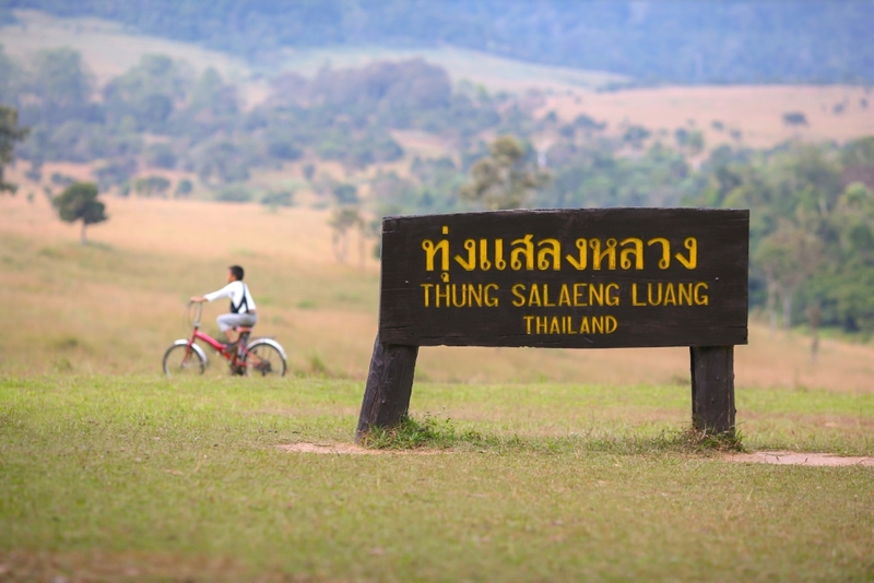 b.n. farm, จุดชมวิววัดกองเนียม, ตะเคียนโง๊ะ, ถนนคนเดินไทหล่ม, ที่ทำการไปรษณีย์เขาค้อ, ที่เที่ยวเพชรบูรณ์, ที่เที่ยวเพชรบูรณ์ 2023, ที่เที่ยวเพชรบูรณ์ 2566, ทุ่งกังหันลมเขาค้อ, น้ำตกศรีดิษฐ์, พระบรมธาตุเจดีย์กาญจนาภิเษก, พระพุทธมหาธรรมราชาเฉลิมพระเกียรติ, พิพิธภัณฑ์อาวุธเขาค้อ, ภูทับเบิก, ภูหินร่องกล้า, ภูแผงม้า, วัดกองเนียม, วัดธรรมยาน, วัดพระธาตุผาซ่อนแก้ว, สกายวอล์คภูเลิศ, สะพานพ่อขุนผาเมือง, สะพานห้วยตอง, อุทยานแห่งชาติตาดหมอก, อุทยานแห่งชาติทุ่งแสลงหลวง, อุทยานแห่งชาติน้ำหนาว, เขาค้อ, เขาค้อ 2023, เขาตะเคียนโง๊ะ, เที่ยวเพชรบูรณ์, เพชรบูรณ์, แก่งบางระจัน, ไร่ gb เขาค้อ, ไร่ บี.เอ็น. ฟาร์ม, ไร่จีบี เขาค้อ, top 20+ ที่เที่ยวเพชรบูรณ์ [กรกฎาคม 2024] สัมผัสทะเลหมอกสุดฟิน เที่ยวชมดินแดนแห่งธรรมชาติ