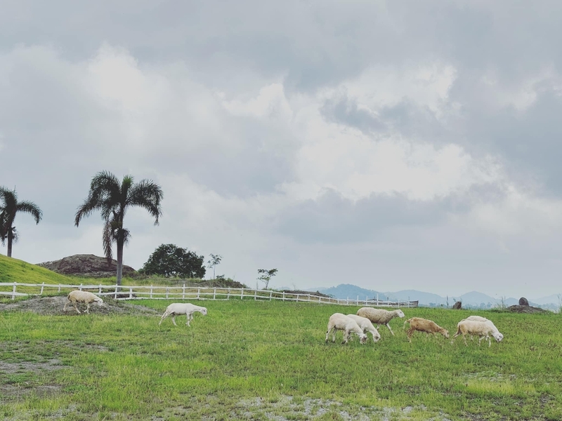 b.n. farm, จุดชมวิววัดกองเนียม, ตะเคียนโง๊ะ, ถนนคนเดินไทหล่ม, ที่ทำการไปรษณีย์เขาค้อ, ที่เที่ยวเพชรบูรณ์, ที่เที่ยวเพชรบูรณ์ 2023, ที่เที่ยวเพชรบูรณ์ 2566, ทุ่งกังหันลมเขาค้อ, น้ำตกศรีดิษฐ์, พระบรมธาตุเจดีย์กาญจนาภิเษก, พระพุทธมหาธรรมราชาเฉลิมพระเกียรติ, พิพิธภัณฑ์อาวุธเขาค้อ, ภูทับเบิก, ภูหินร่องกล้า, ภูแผงม้า, วัดกองเนียม, วัดธรรมยาน, วัดพระธาตุผาซ่อนแก้ว, สกายวอล์คภูเลิศ, สะพานพ่อขุนผาเมือง, สะพานห้วยตอง, อุทยานแห่งชาติตาดหมอก, อุทยานแห่งชาติทุ่งแสลงหลวง, อุทยานแห่งชาติน้ำหนาว, เขาค้อ, เขาค้อ 2023, เขาตะเคียนโง๊ะ, เที่ยวเพชรบูรณ์, เพชรบูรณ์, แก่งบางระจัน, ไร่ gb เขาค้อ, ไร่ บี.เอ็น. ฟาร์ม, ไร่จีบี เขาค้อ, top 20+ ที่เที่ยวเพชรบูรณ์ [กรกฎาคม 2024] สัมผัสทะเลหมอกสุดฟิน เที่ยวชมดินแดนแห่งธรรมชาติ