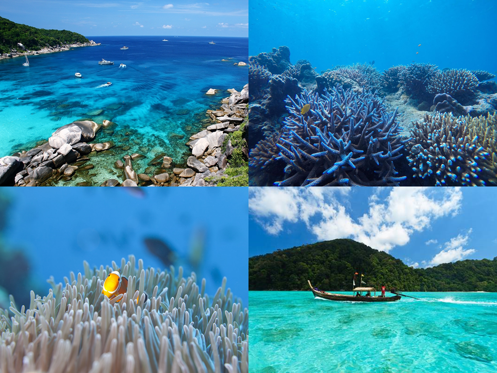 ชายฝั่งอันดามัน, ทะเล, ทะเลอันดามัน, ที่เที่ยว, สถานที่ท่องเที่ยว, หมู่เกาะพีพี, หมู่เกาะสุรินทร์, หาดป่าตอง, อ่าวเขาควาย, เกาะมุก, เกาะสิมิลัน, เกาะหลีเป๊ะ, เกาะห้อง, เกาะไม้ท่อน, แนะนำสถานที่ท่องเที่ยว, แนะนำสถานที่ท่องเที่ยว 9 ทะเลสวย น้ำใส แถบชายฝั่งอันดามัน ประเทศไทย