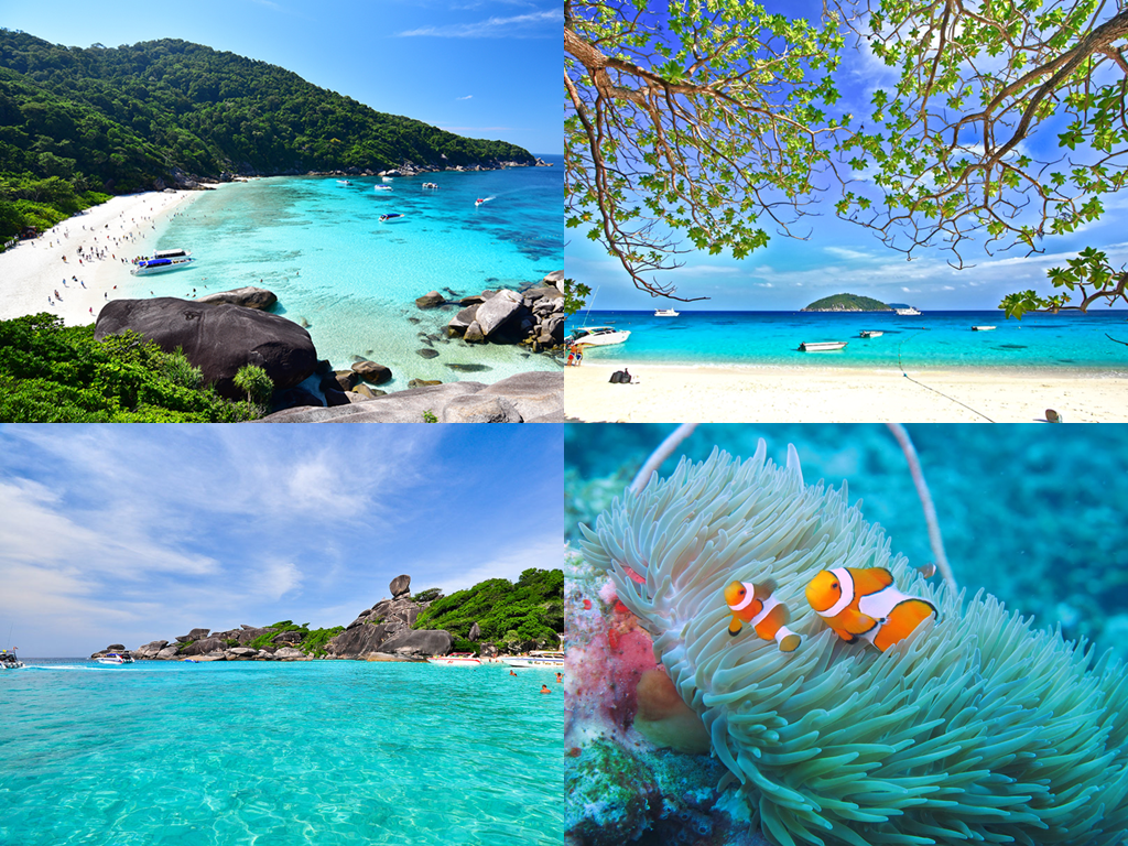 ชายฝั่งอันดามัน, ทะเล, ทะเลอันดามัน, ที่เที่ยว, สถานที่ท่องเที่ยว, หมู่เกาะพีพี, หมู่เกาะสุรินทร์, หาดป่าตอง, อ่าวเขาควาย, เกาะมุก, เกาะสิมิลัน, เกาะหลีเป๊ะ, เกาะห้อง, เกาะไม้ท่อน, แนะนำสถานที่ท่องเที่ยว, แนะนำสถานที่ท่องเที่ยว 9 ทะเลสวย น้ำใส แถบชายฝั่งอันดามัน ประเทศไทย