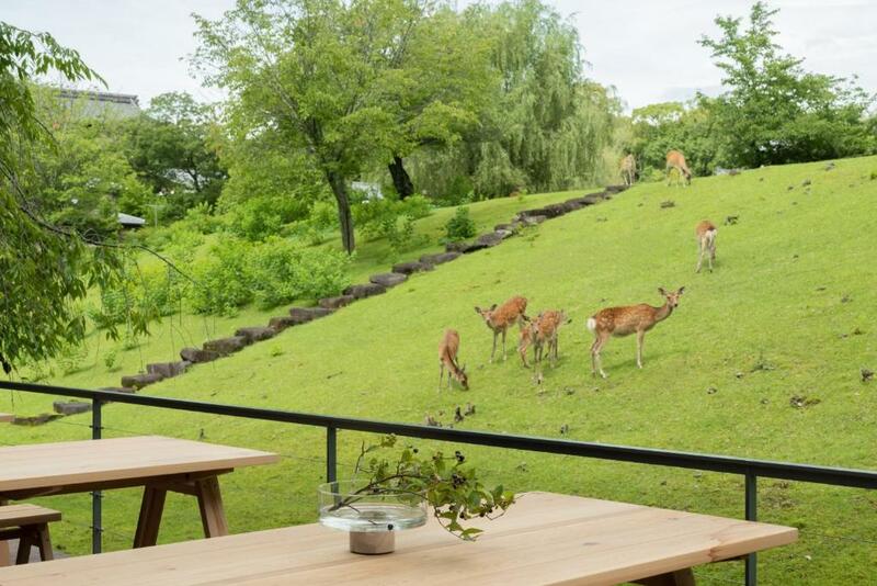 ที่พักนารา, นารา ญี่ปุ่น, เมืองนารา, โรงแรม นารา ญี่ปุ่น, โรงแรม นารา ประเทศญี่ปุ่น 2565, โรงแรม เมืองนารา ญี่ปุ่น, โรงแรมนารา รีวิว, top 10+ ที่พักเมืองนารา ประเทศญี่ปุ่น 2024 ดื่มด่ำธรรมชาติ เน้นบรรยากาศดี ห้องพักสวยหรู