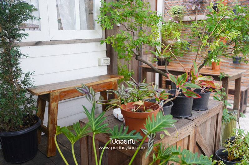 once upon a tree cafe เสรีไทย, ร้านกาแฟเสรีไทย, คาเฟ่เสรีไทย, once upon a tree cafe  คาเฟ่อบอุ่น สไตล์บ้านชนบทอังกฤษ