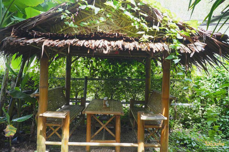 บ้านหนมจีน ลานสกา, ขนมจีนลานสกา, ร้านขนมจีนอร่อยลานสกา, บ้านหนมจีน ลานสกา
