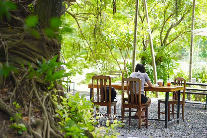 สถานที่ท่องเที่ยวปทุมธานี, คาเฟ่ปทุมธานี, ร้านกาแฟปทุมธานี, prem cafe in the garden, ร้านกาแฟในสวนปทุมธานี, ร้านกาแฟริมน้ำปทุมธานี, prem cafe in the garden คาเฟ่ในสวนสุดว้าว ปทุมธานี