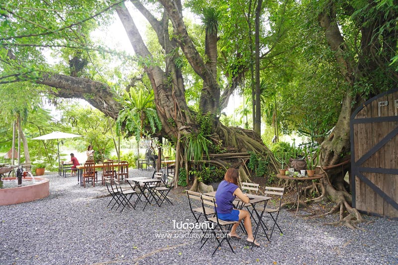 สถานที่ท่องเที่ยวปทุมธานี, คาเฟ่ปทุมธานี, ร้านกาแฟปทุมธานี, prem cafe in the garden, ร้านกาแฟในสวนปทุมธานี, ร้านกาแฟริมน้ำปทุมธานี, prem cafe in the garden คาเฟ่ในสวนสุดว้าว ปทุมธานี