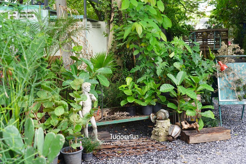 สถานที่ท่องเที่ยวปทุมธานี, คาเฟ่ปทุมธานี, ร้านกาแฟปทุมธานี, prem cafe in the garden, ร้านกาแฟในสวนปทุมธานี, ร้านกาแฟริมน้ำปทุมธานี, prem cafe in the garden คาเฟ่ในสวนสุดว้าว ปทุมธานี