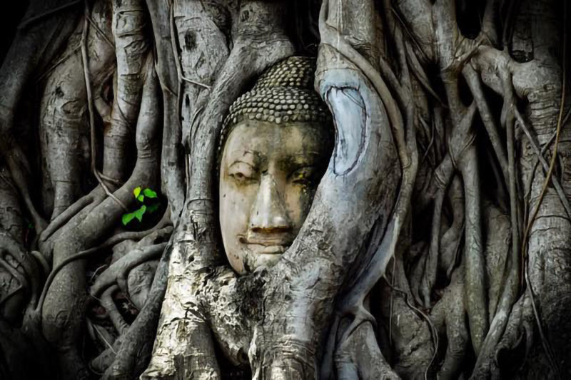 อยุธยา, top 10+ ที่เที่ยวอยุธยา 2567 เที่ยววัด สวนสัตว์ คาเฟ่ ธรรมชาติ น้ำตก ใกล้สถานีรถไฟ