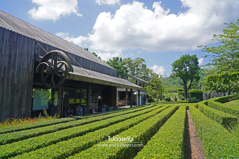 ร้านกาแฟเขาใหญ่, pirom cafe เขาใหญ่, คาเฟ่เขาใหญ่, ภิรมย์คาเฟ่, pirom cafe  จิบกาแฟเท่ มองวิวสีเขียว