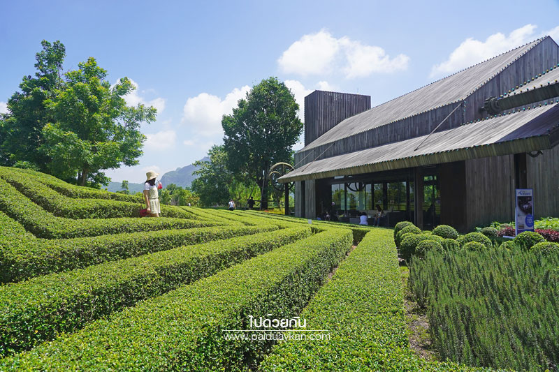 Pirom Cafe&nbsp; จิบกาแฟเท่ มองวิวสีเขียว
