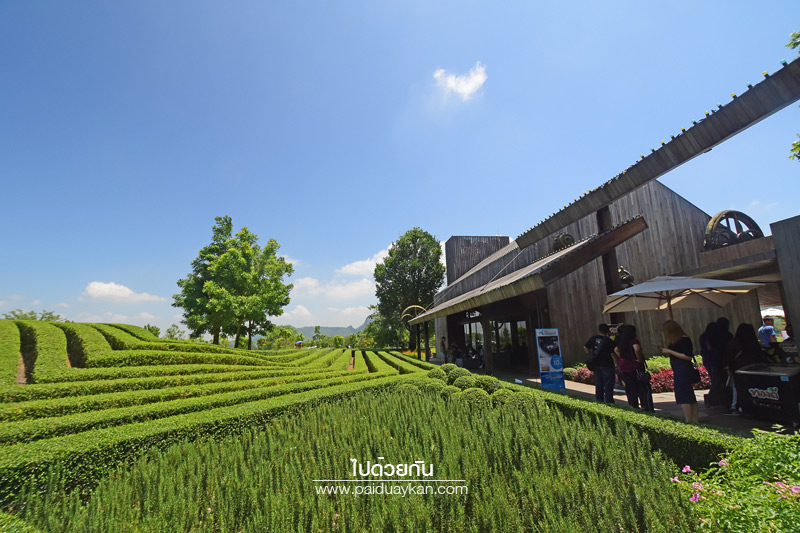 ร้านกาแฟเขาใหญ่, pirom cafe เขาใหญ่, คาเฟ่เขาใหญ่, ภิรมย์คาเฟ่, pirom cafe  จิบกาแฟเท่ มองวิวสีเขียว