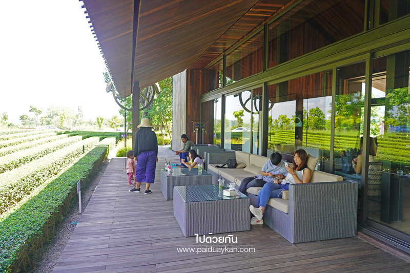 ร้านกาแฟเขาใหญ่, pirom cafe เขาใหญ่, คาเฟ่เขาใหญ่, ภิรมย์คาเฟ่, pirom cafe  จิบกาแฟเท่ มองวิวสีเขียว