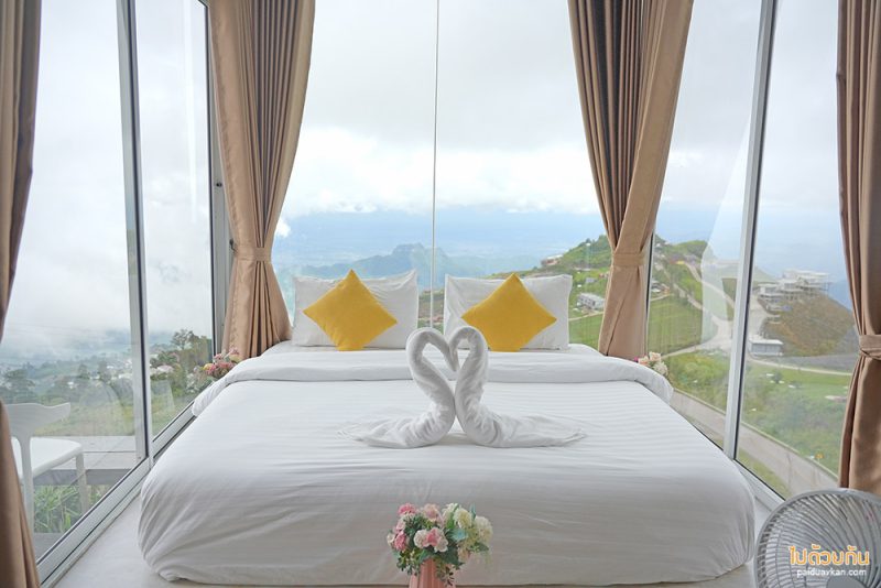 ภูทับเบิก, บ้านกระจกภูทับเบิก, de bee  ภูทับเบิก, de’ bee  ภูทับเบิก พักบ้านกระจก ชมวิวถนนสวย ภูเขาเขียว