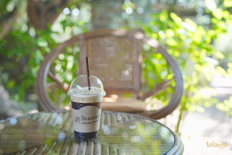 คาเฟ่เชียงใหม่, เที่ยวขุนแปะ, ไร่เอกเขนก, ไร่เอกเขนก เชียงใหม่ ร้านกาแฟโฮมมี่ เหมือนมาบ้านเพื่อน