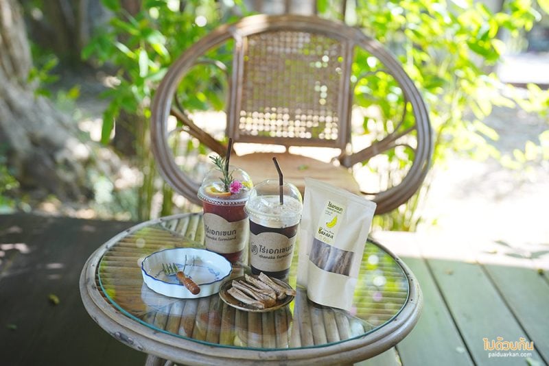 คาเฟ่เชียงใหม่, เที่ยวขุนแปะ, ไร่เอกเขนก, ไร่เอกเขนก เชียงใหม่ ร้านกาแฟโฮมมี่ เหมือนมาบ้านเพื่อน