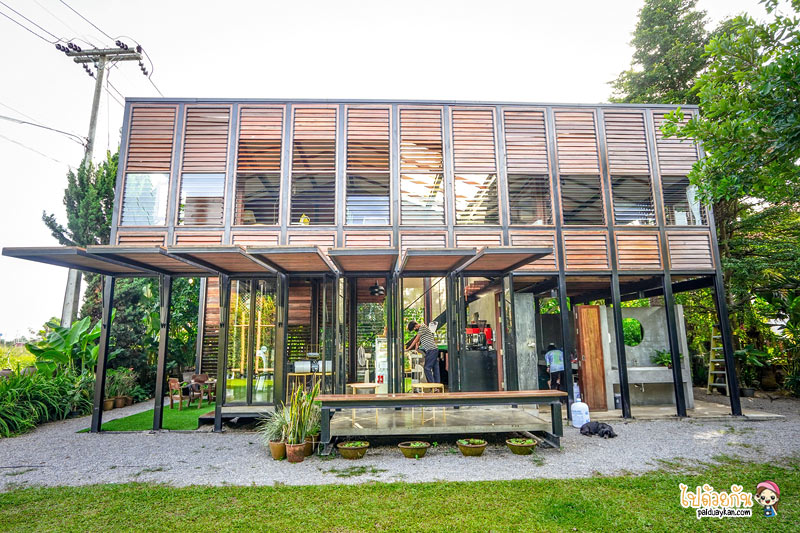 ป่าซาง คาเฟ่ เชียงราย, ร้านกาแฟใกล้สนามบินเชียงราย, ร้านกาแฟเชียงราย, คาเฟ่เชียงราย, ป่าซาง คาเฟ่ดีไซน์สุดล้ำ ผ่านสถาปัตยกรรมพื้นถิ่นแบบร่วมสมัย
