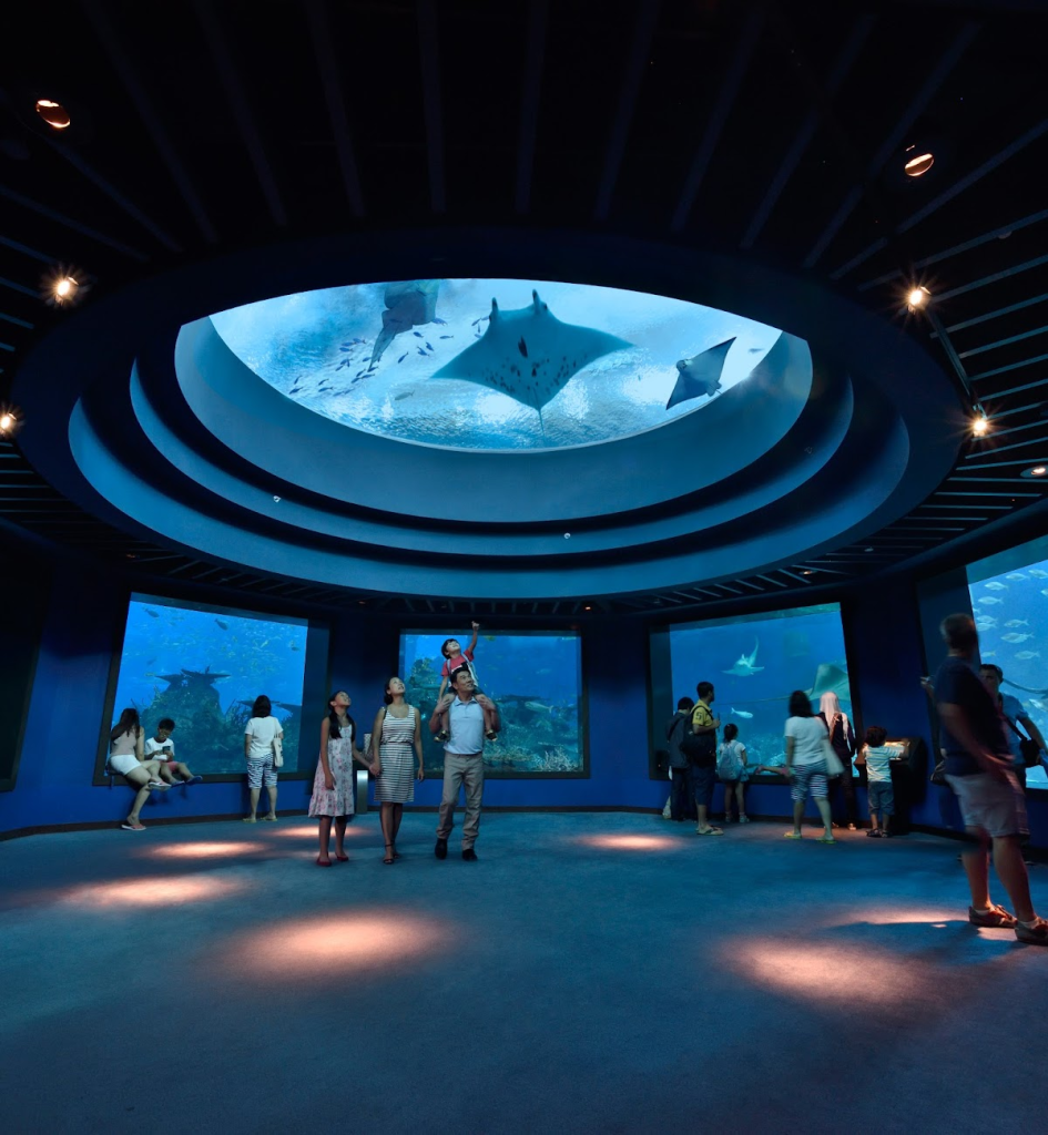 boat quay, botanic garden, china town, gardens by the bay, jewel changi airport, little india, merlion park, national orchird garden singapore, s.e.a. aquarium, singapore flyer, universal studios singapore, ที่เที่ยวสิงคโปร์, ที่เที่ยวสิงคโปร์2023, ที่เที่ยวสิงคโปร์2566, เที่ยวสิงคโปร์ 2565, แผนที่เที่ยวสิงคโปร์ 2023, แผนที่เที่ยวสิงคโปร์ 2566, พาไป 15 ที่เที่ยวสิงคโปร์ 2024 เช็คอินแลนด์มาร์คยอดฮิต วิวธรรมชาติก็ดี สวนสนุกก็มา มุมถ่ายรูปเยอะสุด ๆ อัปเดต