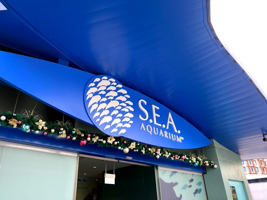 boat quay, botanic garden, china town, gardens by the bay, jewel changi airport, little india, merlion park, national orchird garden singapore, s.e.a. aquarium, singapore flyer, universal studios singapore, ที่เที่ยวสิงคโปร์, ที่เที่ยวสิงคโปร์2023, ที่เที่ยวสิงคโปร์2566, เที่ยวสิงคโปร์ 2565, แผนที่เที่ยวสิงคโปร์ 2023, แผนที่เที่ยวสิงคโปร์ 2566, พาไป 15 ที่เที่ยวสิงคโปร์ 2024 เช็คอินแลนด์มาร์คยอดฮิต วิวธรรมชาติก็ดี สวนสนุกก็มา มุมถ่ายรูปเยอะสุด ๆ อัปเดต