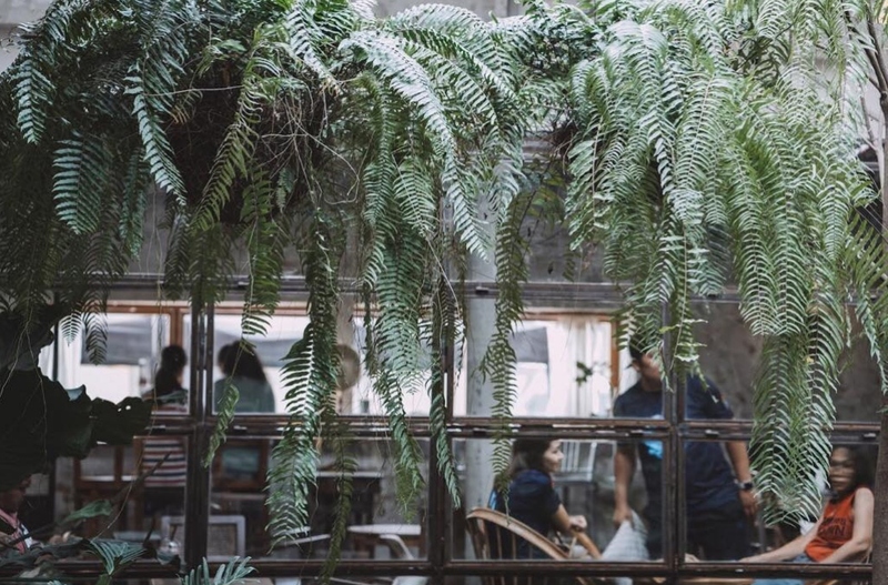 black sheep cafe, kummee studio, sol cottage, wiang kosai, กาดกองเก่า, คาเฟ่ แพร่, คาเฟ่จังหวัดแพร่, คาเฟ่จังหวัดแพร่ 2023, คาเฟ่จังหวัดแพร่ 2566, คำมีสตูดิโอ เซรามิค, คุ้มหลวงนครแพร่, คุ้มเจ้าหลวง, จุดชมวิว กม.3, ดงสักงาม, ถนน 1343, ถนนลอยฟ้า หมายเลข 1343, ถนนสายวัฒนธรรมเมืองแพร่, ถ้ำผานางคอย, ที่เที่ยวจังหวัดแพร่, ที่เที่ยวแพร่, ที่เที่ยวแพร่ 2023, ที่เที่ยวแพร่ 2024, ที่เที่ยวแพร่ 2566, ที่เที่ยวแพร่ 2567, ที่เที่ยวในแพร่, บ่อน้ำพุร้อนแม่จอก, บ้านนาคูหา, ผาอิงหมอก, พระธาตุอินทร์แขวน, พระธาตุอินแขวน, วนอุทยานแพะเมืองผี, วัดจอมสวรรค์, วัดดัง แพร่, วัดนาคูหา, วัดพระธาตุช่อแฮ่, วัดพระธาตุสุโทนมงคลคีรี, ศาลหลักเมืองแพร่, สถานที่เที่ยวจังหวัดแพร่, หินนางคอย, อ่างเก็บน้ำม่อนแม่ถาง, อุทยานแห่งชาติดอยผากลอง, อุทยานแห่งชาติเวียงโกศัย, อุทยานแห่งชาติแม่ยม, เที่ยวแพร่ 2024, เที่ยวแพร่ 2567, แก่งเสือเต้น, แกะดำ ทำสวน, แพร่, แพะเมืองผี, โซลคอทเทจ, ไร่ลุงลอน, ไร่ลุงลอน camping is life, top 20+ ที่เที่ยวแพร่ [กรกฎาคม 2024] เมืองรองต้องมนต์ เสน่ห์ที่เป็นได้มากกว่าทางผ่าน
