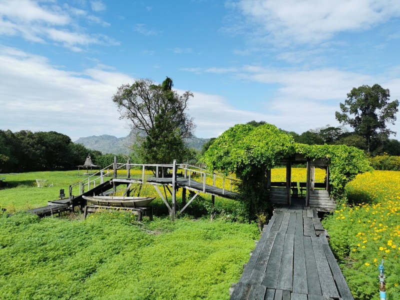 anacolly cafe’ & bistro, flower house cafe & bistro, lopburi zoo, the best ferns thailand, tong’au cafe & restaurant, กระเพรา & coffee, กางเต็นท์ ลพบุรี, คาเฟ่ลพบุรี, คุ้งท่าเลา, งานวัง ลพบุรี, งานวัง ลพบุรี 2567, งานแผ่นดินสมเด็จพระนารายณ์มหาราช, จุดชมวิวเขาพระยาเดินธง, ตลาดวิถีชุมชนคนโคกตูม, ตองอู คาเฟ่, ที่เที่ยวลพบุรี, ที่เที่ยวลพบุรี 2023, ที่เที่ยวลพบุรี 2024, ที่เที่ยวลพบุรี 2566, ที่เที่ยวลพบุรี 2567, ที่เที่ยวลพบุรี ธรรมชาติ, ที่เที่ยวลพบุรี ใกล้ฉัน, ที่เที่ยวใกล้ฉัน, ทุ่งทานตะวัน ลพบุรี, ทุ่งทานตะวันเขาจีนแล, ทุ่งทานตะวันแห่งแรกของไทย, น้ำตกวังก้านเหลือง, บ้านดินมดแดง, ปรางค์สามยอด, ปางแสดงธรรมจักรขนาดใหญ่ที่สุดในประเทศไทย, พระนารายณ์ราชนิเวศน์, พระปรางค์สามยอด, ภูซับเหล็ก, ภูซับเหล็ก ลพบุรี, รถไฟกลางน้ำ, ลพบุรี, ลพบุรี 2567, ละโว้, วัดคุ้งท่าเลา, วัดถ้ำเขาปรางค์, วัดพระศรีรัตนมหาธาตุ, วัดพระศรีรัตนมหาธาตุ ลพบุรี, วัดหนองนา, วัดหนุมานม่วง, วัดห้วยแก้ว, วัดเขาวงพระจันทร์, สวนดอกไม้ ลพบุรี, สวนสัตว์ ลพบุรี, สวนเฟิร์นไร่ทรัพย์ประยูร, สะพานกลางน้ำ ลพบุรี, สะพานผุดกลางน้ำ, สะพานผุดเขื่อนป่าสักชลสิทธิ์, อนาคอลลี่ คาเฟ่ แอนด์ บิสโทร, เขาพระยาเดินธง, เขาวงพระจันทร์, เขื่อนป่าสัก, เขื่อนป่าสักชลสิทธิ์, เจดีย์มหาเมตารัตนะรังษี, เจดีย์เก้ายอด ลพบุรี, เทศกาลนมัสการรอยพระพุทธบาท 2567, เที่ยวลพบุรี, เที่ยวลพบุรี 2567, top 20+ ที่เที่ยวลพบุรี [กรกฎาคม 2024] ชมศิลปะโบราณแสนงดงาม ทุ่งทานตะวันบานสะพรั่งสดใส