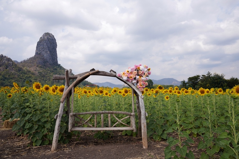 anacolly cafe’ & bistro, flower house cafe & bistro, lopburi zoo, the best ferns thailand, tong’au cafe & restaurant, กระเพรา & coffee, กางเต็นท์ ลพบุรี, คาเฟ่ลพบุรี, คุ้งท่าเลา, งานวัง ลพบุรี, งานวัง ลพบุรี 2567, งานแผ่นดินสมเด็จพระนารายณ์มหาราช, จุดชมวิวเขาพระยาเดินธง, ตลาดวิถีชุมชนคนโคกตูม, ตองอู คาเฟ่, ที่เที่ยวลพบุรี, ที่เที่ยวลพบุรี 2023, ที่เที่ยวลพบุรี 2024, ที่เที่ยวลพบุรี 2566, ที่เที่ยวลพบุรี 2567, ที่เที่ยวลพบุรี ธรรมชาติ, ที่เที่ยวลพบุรี ใกล้ฉัน, ที่เที่ยวใกล้ฉัน, ทุ่งทานตะวัน ลพบุรี, ทุ่งทานตะวันเขาจีนแล, ทุ่งทานตะวันแห่งแรกของไทย, น้ำตกวังก้านเหลือง, บ้านดินมดแดง, ปรางค์สามยอด, ปางแสดงธรรมจักรขนาดใหญ่ที่สุดในประเทศไทย, พระนารายณ์ราชนิเวศน์, พระปรางค์สามยอด, ภูซับเหล็ก, ภูซับเหล็ก ลพบุรี, รถไฟกลางน้ำ, ลพบุรี, ลพบุรี 2567, ละโว้, วัดคุ้งท่าเลา, วัดถ้ำเขาปรางค์, วัดพระศรีรัตนมหาธาตุ, วัดพระศรีรัตนมหาธาตุ ลพบุรี, วัดหนองนา, วัดหนุมานม่วง, วัดห้วยแก้ว, วัดเขาวงพระจันทร์, สวนดอกไม้ ลพบุรี, สวนสัตว์ ลพบุรี, สวนเฟิร์นไร่ทรัพย์ประยูร, สะพานกลางน้ำ ลพบุรี, สะพานผุดกลางน้ำ, สะพานผุดเขื่อนป่าสักชลสิทธิ์, อนาคอลลี่ คาเฟ่ แอนด์ บิสโทร, เขาพระยาเดินธง, เขาวงพระจันทร์, เขื่อนป่าสัก, เขื่อนป่าสักชลสิทธิ์, เจดีย์มหาเมตารัตนะรังษี, เจดีย์เก้ายอด ลพบุรี, เทศกาลนมัสการรอยพระพุทธบาท 2567, เที่ยวลพบุรี, เที่ยวลพบุรี 2567, top 20+ ที่เที่ยวลพบุรี [กรกฎาคม 2024] ชมศิลปะโบราณแสนงดงาม ทุ่งทานตะวันบานสะพรั่งสดใส
