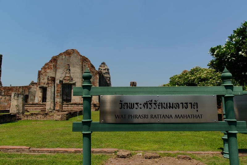 anacolly cafe’ & bistro, flower house cafe & bistro, lopburi zoo, the best ferns thailand, tong’au cafe & restaurant, กระเพรา & coffee, กางเต็นท์ ลพบุรี, คาเฟ่ลพบุรี, คุ้งท่าเลา, งานวัง ลพบุรี, งานวัง ลพบุรี 2567, งานแผ่นดินสมเด็จพระนารายณ์มหาราช, จุดชมวิวเขาพระยาเดินธง, ตลาดวิถีชุมชนคนโคกตูม, ตองอู คาเฟ่, ที่เที่ยวลพบุรี, ที่เที่ยวลพบุรี 2023, ที่เที่ยวลพบุรี 2024, ที่เที่ยวลพบุรี 2566, ที่เที่ยวลพบุรี 2567, ที่เที่ยวลพบุรี ธรรมชาติ, ที่เที่ยวลพบุรี ใกล้ฉัน, ที่เที่ยวใกล้ฉัน, ทุ่งทานตะวัน ลพบุรี, ทุ่งทานตะวันเขาจีนแล, ทุ่งทานตะวันแห่งแรกของไทย, น้ำตกวังก้านเหลือง, บ้านดินมดแดง, ปรางค์สามยอด, ปางแสดงธรรมจักรขนาดใหญ่ที่สุดในประเทศไทย, พระนารายณ์ราชนิเวศน์, พระปรางค์สามยอด, ภูซับเหล็ก, ภูซับเหล็ก ลพบุรี, รถไฟกลางน้ำ, ลพบุรี, ลพบุรี 2567, ละโว้, วัดคุ้งท่าเลา, วัดถ้ำเขาปรางค์, วัดพระศรีรัตนมหาธาตุ, วัดพระศรีรัตนมหาธาตุ ลพบุรี, วัดหนองนา, วัดหนุมานม่วง, วัดห้วยแก้ว, วัดเขาวงพระจันทร์, สวนดอกไม้ ลพบุรี, สวนสัตว์ ลพบุรี, สวนเฟิร์นไร่ทรัพย์ประยูร, สะพานกลางน้ำ ลพบุรี, สะพานผุดกลางน้ำ, สะพานผุดเขื่อนป่าสักชลสิทธิ์, อนาคอลลี่ คาเฟ่ แอนด์ บิสโทร, เขาพระยาเดินธง, เขาวงพระจันทร์, เขื่อนป่าสัก, เขื่อนป่าสักชลสิทธิ์, เจดีย์มหาเมตารัตนะรังษี, เจดีย์เก้ายอด ลพบุรี, เทศกาลนมัสการรอยพระพุทธบาท 2567, เที่ยวลพบุรี, เที่ยวลพบุรี 2567, top 20+ ที่เที่ยวลพบุรี [กรกฎาคม 2024] ชมศิลปะโบราณแสนงดงาม ทุ่งทานตะวันบานสะพรั่งสดใส