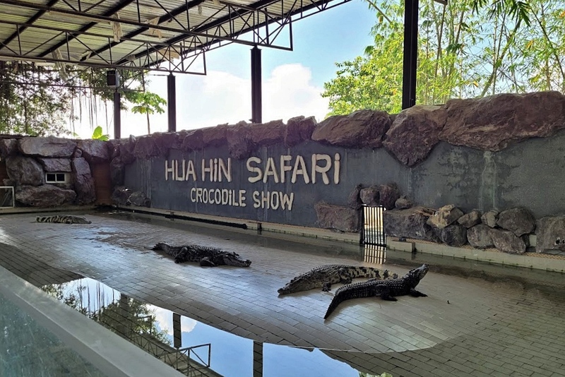 beachgoers, bueng bua nature education center, camping, cha-am-hua hin, crocodile show, drip rim lay, elastic walking, elephants show, flaming milk tea, fresh seafood, haad sam phraya, hin walking street, hua hin district, hua hin night market, hua hin safari & adventure park, huay mongkol temple, instagram spot, kaeng krachan national park, khao dang viewpoint, khao hin lek fai, khao hin lek fai view point, khao sam roi yot national park, khao takiab beach, khao tao reservoir, ladder walking, leisurely stroll, luxurious options, memory house, memory house cafe huahin, near bangkok, pa la-u waterfall, panoramic view, phraya nakron cave, popular seaside, prachuap khiri khan, pranburi dam, pranburi forest park, pranburi river, rajabhakti park, regent beach, rope climbing, sai noi beach, sam phraya beach, seen space hua hin, skoop beach cafe hua hin, suan son beach, suan son pradipat, suan son pradiphat, thao kosa forest park, three sugar palms, three sugar palms at paknam pran, tigers show, top seacret beach cafe, tree top adventure park huahin, vana nava water jungle, vana varin resort, wat khao takiab, zip lines, จุดชมวิว เขาหินเหล็กไฟ, ชายหาดหัวหิน, ซีนสเปซ หัวหิน, ตลาดชิเคด้า, ตลาดแทมมารีน, ตลาดโต้รุ่งหัวหิน, ถนนคนเดินหัวหิน, ที่เที่ยวหัวหิน, ที่เที่ยวหัวหิน 2024, ที่เที่ยวหัวหิน 2565, ที่เที่ยวหัวหิน 2567, วัดห้วยมงคล, วัดเขาตะเกียบ, สถานีรถไฟหัวหิน, สวนน้ำ วานา นาวา, สวนน้ำ วานา นาวา วอเตอร์ จังเกิ้ล, สวนสนประดิพัทธ์, หัวหิน, หัวหิน 2024, หัวหิน 2567, หาดสวนสน, หาดหัวหิน, หาดเขาตะเกียบ, อ่างเก็บน้ำเขาเต่า, อุทยานราชภักดิ์, เที่ยวหัวหิน, top 30+ ที่เที่ยวหัวหิน ยอดฮิต [กรกฎาคม 2024] พักผ่อนใกล้กรุง ผ่อนคลายไปกับธรรมชาติ