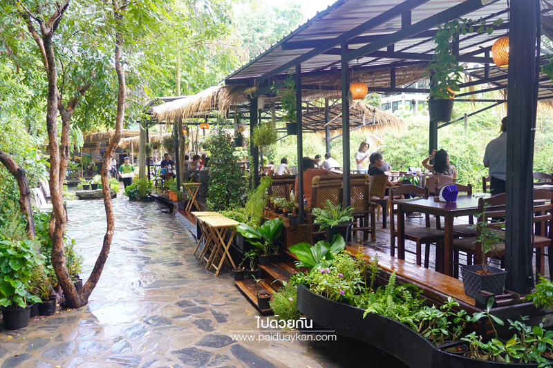 ร้านกาแฟเขาใหญ่, คาเฟ่เขาใหญ่, 88 coffee in khaoyai, 88 coffee เขาใหญ่, top 88+ coffee in khaoyai  คาเฟ่ริมลำธาร ท่ามกลางธรรมชาติ