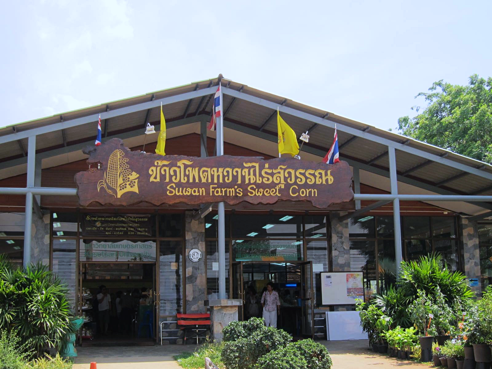 mulberry khaoyai, the birder’s lodge café & grill, yellow submarine coffee tank, ข้าวโพดหวาน ไร่สุวรรณ, ที่เที่ยวเขาใหญ่, ที่เที่ยวเขาใหญ่ 2022, ที่เที่ยวเขาใหญ่ 2023, ที่เที่ยวเขาใหญ่ 2024, ที่เที่ยวเขาใหญ่ 2565, ที่เที่ยวเขาใหญ่ 2566, ที่เที่ยวเขาใหญ่ 2567, ที่เที่ยวเขาใหญ่ ปากช่อง, น้ำตกเหวสุวัต, บ่อน้ำผุด เขาใหญ่, บ้านนอกคอกนา, ปาลิโอ เขาใหญ่, ฟาร์มโชคชัย, สระน้ำผุด ปากช่อง, สระน้ำผุด เขาใหญ่, อุทยานแห่งชาติเขาใหญ่, เขาใหญ่, เขาใหญ่ ที่เที่ยว, เที่ยวเขาใหญ่ 2024, เที่ยวเขาใหญ่ 2567, แรนโช ชาญวีร์ เขาใหญ่, ไร่มัลเบอร์รี่ เขาใหญ่, ไร่สุวรรณ, top 25+ ที่เที่ยวเขาใหญ่ [กรกฎาคม 2024] ถ่ายรูปสวย สไตล์ธรรมชาติ เที่ยวได้ทั้งครอบครัว