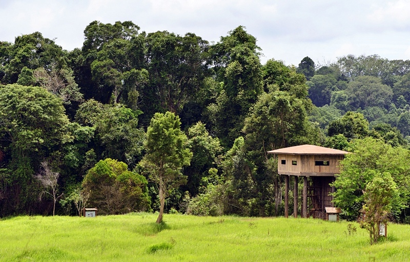 mulberry khaoyai, the birder’s lodge café & grill, yellow submarine coffee tank, ข้าวโพดหวาน ไร่สุวรรณ, ที่เที่ยวเขาใหญ่, ที่เที่ยวเขาใหญ่ 2022, ที่เที่ยวเขาใหญ่ 2023, ที่เที่ยวเขาใหญ่ 2024, ที่เที่ยวเขาใหญ่ 2565, ที่เที่ยวเขาใหญ่ 2566, ที่เที่ยวเขาใหญ่ 2567, ที่เที่ยวเขาใหญ่ ปากช่อง, น้ำตกเหวสุวัต, บ่อน้ำผุด เขาใหญ่, บ้านนอกคอกนา, ปาลิโอ เขาใหญ่, ฟาร์มโชคชัย, สระน้ำผุด ปากช่อง, สระน้ำผุด เขาใหญ่, อุทยานแห่งชาติเขาใหญ่, เขาใหญ่, เขาใหญ่ ที่เที่ยว, เที่ยวเขาใหญ่ 2024, เที่ยวเขาใหญ่ 2567, แรนโช ชาญวีร์ เขาใหญ่, ไร่มัลเบอร์รี่ เขาใหญ่, ไร่สุวรรณ, top 25+ ที่เที่ยวเขาใหญ่ [กรกฎาคม 2024] ถ่ายรูปสวย สไตล์ธรรมชาติ เที่ยวได้ทั้งครอบครัว