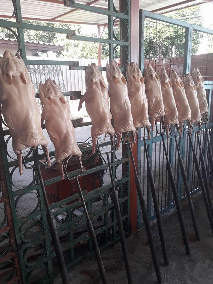 ร้านหมูหัน : ร้านอร่อย พิกัด กทม. หมูหันหนังกรอบย่างหอม ยอมอ้วนก็คราวนี้