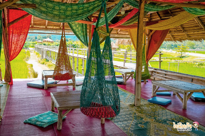บ้านไร่9ไม้&ฟาร์มคาเฟ่, คาเฟ่เชียงแสน, ร้านอาหารเชียงแสน, บ้านไร่9ไม้ & ฟาร์มคาเฟ่ เชียงแสน