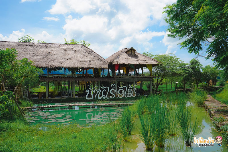 บ้านไร่9ไม้ &amp; ฟาร์มคาเฟ่ เชียงแสน