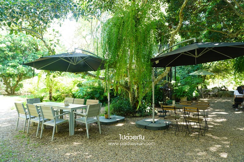 ร้านอาหารแม่ริม, ร้านอาหารม่อนแจ่ม, ม่อนแจ่ม, คาเฟ่ม่อนแจ่ม, คาเฟ่แม่ริม, the iron wood, ร้านกาแฟแม่ริม, the iron wood คาเฟ่มีสไตล์ ท่ามกลางสวน