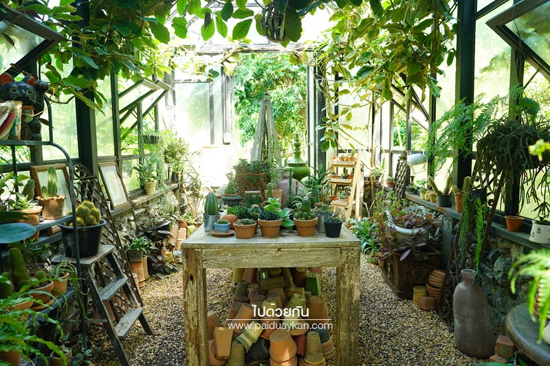 ร้านอาหารแม่ริม, ร้านอาหารม่อนแจ่ม, ม่อนแจ่ม, คาเฟ่ม่อนแจ่ม, คาเฟ่แม่ริม, the iron wood, ร้านกาแฟแม่ริม, the iron wood คาเฟ่มีสไตล์ ท่ามกลางสวน