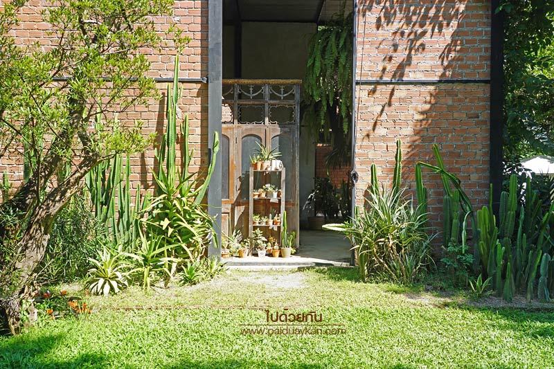 ร้านอาหารแม่ริม, ร้านอาหารม่อนแจ่ม, ม่อนแจ่ม, คาเฟ่ม่อนแจ่ม, คาเฟ่แม่ริม, the iron wood, ร้านกาแฟแม่ริม, the iron wood คาเฟ่มีสไตล์ ท่ามกลางสวน
