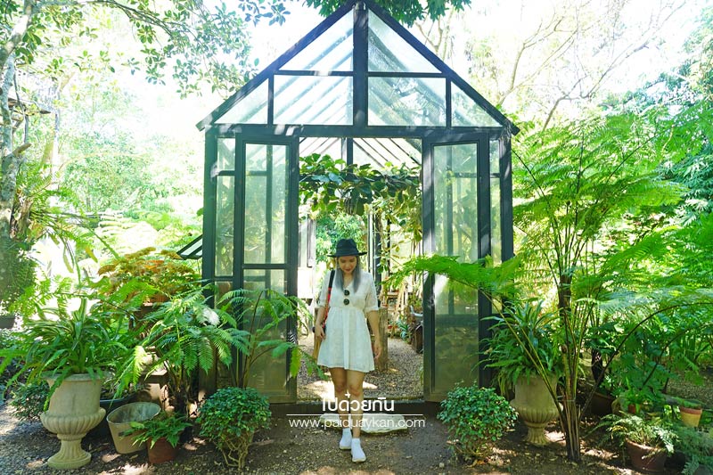 ร้านอาหารแม่ริม, ร้านอาหารม่อนแจ่ม, ม่อนแจ่ม, คาเฟ่ม่อนแจ่ม, คาเฟ่แม่ริม, the iron wood, ร้านกาแฟแม่ริม, the iron wood คาเฟ่มีสไตล์ ท่ามกลางสวน