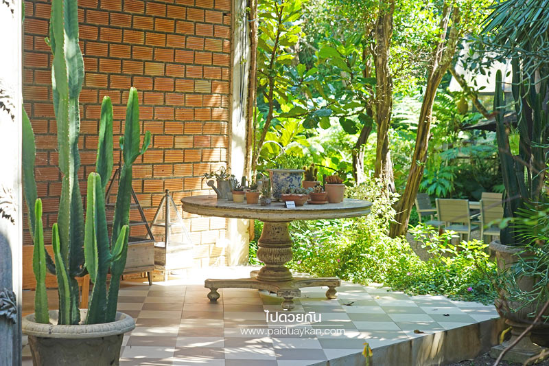 ร้านอาหารแม่ริม, ร้านอาหารม่อนแจ่ม, ม่อนแจ่ม, คาเฟ่ม่อนแจ่ม, คาเฟ่แม่ริม, the iron wood, ร้านกาแฟแม่ริม, the iron wood คาเฟ่มีสไตล์ ท่ามกลางสวน