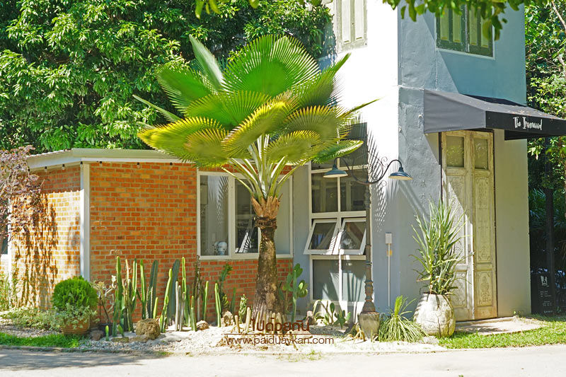 ร้านอาหารแม่ริม, ร้านอาหารม่อนแจ่ม, ม่อนแจ่ม, คาเฟ่ม่อนแจ่ม, คาเฟ่แม่ริม, the iron wood, ร้านกาแฟแม่ริม, the iron wood คาเฟ่มีสไตล์ ท่ามกลางสวน