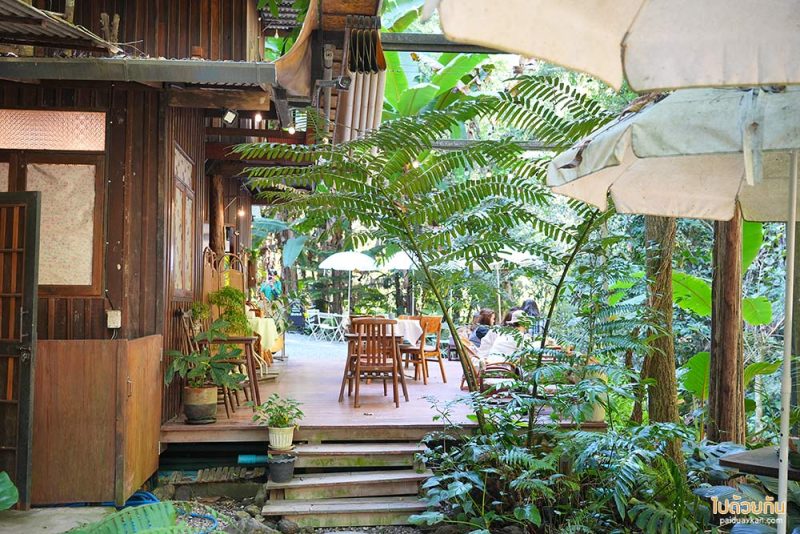 ร้านกาแฟแม่กำปอง, ร้านกาแฟเชียงใหม่, บ้านแม่ลาย, claai cafe, claai cafe’& eatery ร้านกาแฟท่ามกลางป่า ริมลำธาร