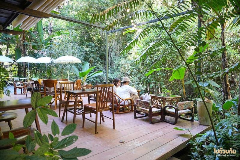 ร้านกาแฟแม่กำปอง, ร้านกาแฟเชียงใหม่, บ้านแม่ลาย, claai cafe, claai cafe’& eatery ร้านกาแฟท่ามกลางป่า ริมลำธาร