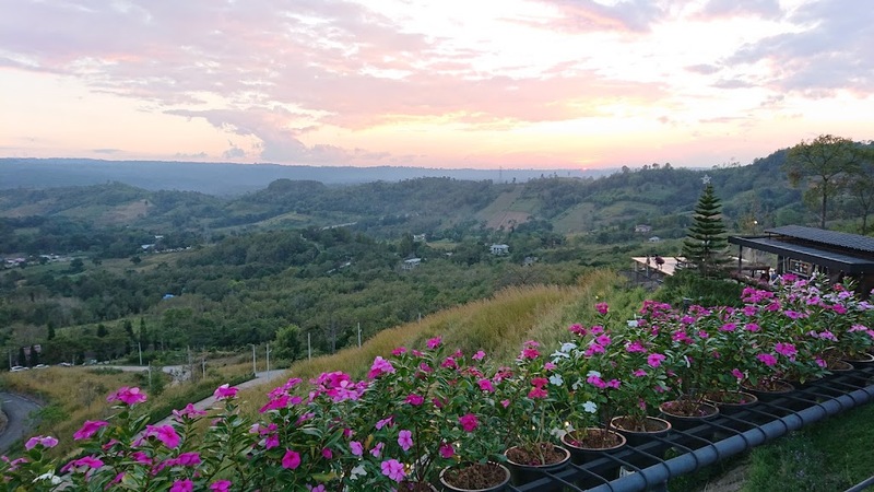 180 all day all season, 180 องศา คาเฟ่, 180' cafe, 180' coffee, artory cafe, cafe khao kho, cedar cafe, cedar ป่าสน cafe, cedar ป่าสน cafe khao kho, cedar ป่าสน cafe เขาค้อ, cedar ป่าสน cafe' at เขาค้อ, coffee love, dragon hill, dragon hill cafe, gino cafe, hydrangea cafe, jolly cafe, jolly cafe khao kho, jolly cafe เขาค้อ, la borne point, liangshan, liangshan coffee khao kho, linda cafe, linda cafe เขาค้อ, morngpar cafe, phukaew peak cafe, pino latte, pino latte restaurant and cafe, ricco slowbar เขาค้อ, story cup, story cup cafe, story cup khao kho, story cup เขาค้อ, takmoh coffee khao kho & โรงเตี๊ยมสุดขอบฟ้า, tanrak, taproot cafe, taproot cafe เขาค้อ, the gm bar & restaurant, the gm bar เขาค้อ, the piney bistro cafe, the pug coffee, the pug coffee lake hill, กาแฟดริป ricco slowbar, กาแฟดริป เขาค้อ, กาแฟตั๊กม้อ เขาค้อ, กาแฟอาราบิกา, คาเฟ่ เพชรบูรณ์, คาเฟ่ ใกล้ฉัน, คาเฟ่.ใหม่เขาค้อ, คาเฟ่ลับเขาค้อ, คาเฟ่เขาค้อ, คาเฟ่เขาค้อ 2024, คาเฟ่เขาค้อ 2567, คาเฟ่ใกล้ฉัน, คาเฟ่ในไร่บีเอ็นฟาร์ม, จีเอ็ม บาร์ เขาค้อ, จุดเช็คอิน คาเฟ่เขาค้อ, ดราก้อน ฮิลล์ คาเฟ่, ดราก้อน ฮิลล์ เขาค้อ, ตั๊กม้อ คอฟฟี่, ทุ่งไฮเดรนเยีย, บนทะเลหมอก & the pug coffee, พีโน่ ลาเต้, พีโน่ ลาเต้ เขาค้อ, ภูแก้วพีค, ภูแก้วพีค คาเฟ่, ภูแก้วพีค เขาค้อ, มองผา คาเฟ่ เขาค้อ, มองผา คาเฟ่ แอนด์ รีสอร์ท, ลาบล็อง พ้อยท์, ลาบล็อง พ้อยท์ เขาค้อ, ลินดา คาเฟ่, สตอรี่ คัฟ เขาค้อ, เขาค้อ, เข้าค่าย cafe’ & cabin, เข้าค่าย café & resort, เข้าค่าย café เขาค้อ, เข้าค่าย คาเฟ่, เข้าค่ายคาเฟ่, เดอะ ไพนี่ บิสโทร คาเฟ่, เหลียงซาน, เหลียงซาน เขาค้อ, แทนรัก กาแฟ, แทนรัก เขาค้อ, แทนรักทะเลหมอก รีสอร์ท, โรงเตี๊ยมสุดขอบฟ้า, ไพนี่ บิสโทร เขาค้อ, ไฮเดรนเยีย คาเฟ่, ไฮเดรนเยีย เขาค้อ, top 20+ คาเฟ่เขาค้อ [กรกฎาคม 2024] วิวสวย บรรยากาศดี ทัศนียภาพงดงาม