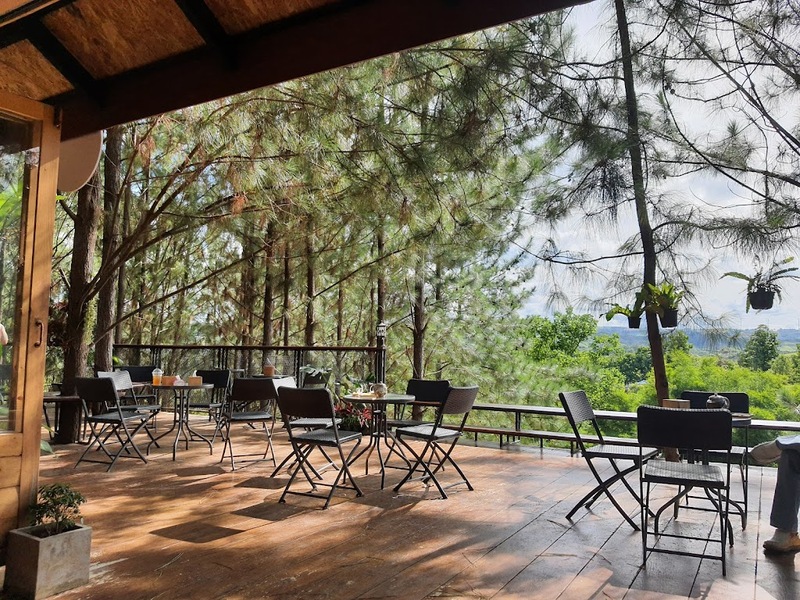180 all day all season, 180 องศา คาเฟ่, 180' cafe, 180' coffee, artory cafe, cafe khao kho, cedar cafe, cedar ป่าสน cafe, cedar ป่าสน cafe khao kho, cedar ป่าสน cafe เขาค้อ, cedar ป่าสน cafe' at เขาค้อ, coffee love, dragon hill, dragon hill cafe, gino cafe, hydrangea cafe, jolly cafe, jolly cafe khao kho, jolly cafe เขาค้อ, la borne point, liangshan, liangshan coffee khao kho, linda cafe, linda cafe เขาค้อ, morngpar cafe, phukaew peak cafe, pino latte, pino latte restaurant and cafe, ricco slowbar เขาค้อ, story cup, story cup cafe, story cup khao kho, story cup เขาค้อ, takmoh coffee khao kho & โรงเตี๊ยมสุดขอบฟ้า, tanrak, taproot cafe, taproot cafe เขาค้อ, the gm bar & restaurant, the gm bar เขาค้อ, the piney bistro cafe, the pug coffee, the pug coffee lake hill, กาแฟดริป ricco slowbar, กาแฟดริป เขาค้อ, กาแฟตั๊กม้อ เขาค้อ, กาแฟอาราบิกา, คาเฟ่ เพชรบูรณ์, คาเฟ่ ใกล้ฉัน, คาเฟ่.ใหม่เขาค้อ, คาเฟ่ลับเขาค้อ, คาเฟ่เขาค้อ, คาเฟ่เขาค้อ 2024, คาเฟ่เขาค้อ 2567, คาเฟ่ใกล้ฉัน, คาเฟ่ในไร่บีเอ็นฟาร์ม, จีเอ็ม บาร์ เขาค้อ, จุดเช็คอิน คาเฟ่เขาค้อ, ดราก้อน ฮิลล์ คาเฟ่, ดราก้อน ฮิลล์ เขาค้อ, ตั๊กม้อ คอฟฟี่, ทุ่งไฮเดรนเยีย, บนทะเลหมอก & the pug coffee, พีโน่ ลาเต้, พีโน่ ลาเต้ เขาค้อ, ภูแก้วพีค, ภูแก้วพีค คาเฟ่, ภูแก้วพีค เขาค้อ, มองผา คาเฟ่ เขาค้อ, มองผา คาเฟ่ แอนด์ รีสอร์ท, ลาบล็อง พ้อยท์, ลาบล็อง พ้อยท์ เขาค้อ, ลินดา คาเฟ่, สตอรี่ คัฟ เขาค้อ, เขาค้อ, เข้าค่าย cafe’ & cabin, เข้าค่าย café & resort, เข้าค่าย café เขาค้อ, เข้าค่าย คาเฟ่, เข้าค่ายคาเฟ่, เดอะ ไพนี่ บิสโทร คาเฟ่, เหลียงซาน, เหลียงซาน เขาค้อ, แทนรัก กาแฟ, แทนรัก เขาค้อ, แทนรักทะเลหมอก รีสอร์ท, โรงเตี๊ยมสุดขอบฟ้า, ไพนี่ บิสโทร เขาค้อ, ไฮเดรนเยีย คาเฟ่, ไฮเดรนเยีย เขาค้อ, top 20+ คาเฟ่เขาค้อ [กรกฎาคม 2024] วิวสวย บรรยากาศดี ทัศนียภาพงดงาม