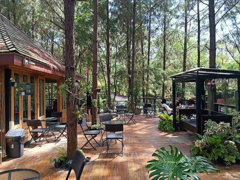 180 all day all season, 180 องศา คาเฟ่, 180' cafe, 180' coffee, artory cafe, cafe khao kho, cedar cafe, cedar ป่าสน cafe, cedar ป่าสน cafe khao kho, cedar ป่าสน cafe เขาค้อ, cedar ป่าสน cafe' at เขาค้อ, coffee love, dragon hill, dragon hill cafe, gino cafe, hydrangea cafe, jolly cafe, jolly cafe khao kho, jolly cafe เขาค้อ, la borne point, liangshan, liangshan coffee khao kho, linda cafe, linda cafe เขาค้อ, morngpar cafe, phukaew peak cafe, pino latte, pino latte restaurant and cafe, ricco slowbar เขาค้อ, story cup, story cup cafe, story cup khao kho, story cup เขาค้อ, takmoh coffee khao kho & โรงเตี๊ยมสุดขอบฟ้า, tanrak, taproot cafe, taproot cafe เขาค้อ, the gm bar & restaurant, the gm bar เขาค้อ, the piney bistro cafe, the pug coffee, the pug coffee lake hill, กาแฟดริป ricco slowbar, กาแฟดริป เขาค้อ, กาแฟตั๊กม้อ เขาค้อ, กาแฟอาราบิกา, คาเฟ่ เพชรบูรณ์, คาเฟ่ ใกล้ฉัน, คาเฟ่.ใหม่เขาค้อ, คาเฟ่ลับเขาค้อ, คาเฟ่เขาค้อ, คาเฟ่เขาค้อ 2024, คาเฟ่เขาค้อ 2567, คาเฟ่ใกล้ฉัน, คาเฟ่ในไร่บีเอ็นฟาร์ม, จีเอ็ม บาร์ เขาค้อ, จุดเช็คอิน คาเฟ่เขาค้อ, ดราก้อน ฮิลล์ คาเฟ่, ดราก้อน ฮิลล์ เขาค้อ, ตั๊กม้อ คอฟฟี่, ทุ่งไฮเดรนเยีย, บนทะเลหมอก & the pug coffee, พีโน่ ลาเต้, พีโน่ ลาเต้ เขาค้อ, ภูแก้วพีค, ภูแก้วพีค คาเฟ่, ภูแก้วพีค เขาค้อ, มองผา คาเฟ่ เขาค้อ, มองผา คาเฟ่ แอนด์ รีสอร์ท, ลาบล็อง พ้อยท์, ลาบล็อง พ้อยท์ เขาค้อ, ลินดา คาเฟ่, สตอรี่ คัฟ เขาค้อ, เขาค้อ, เข้าค่าย cafe’ & cabin, เข้าค่าย café & resort, เข้าค่าย café เขาค้อ, เข้าค่าย คาเฟ่, เข้าค่ายคาเฟ่, เดอะ ไพนี่ บิสโทร คาเฟ่, เหลียงซาน, เหลียงซาน เขาค้อ, แทนรัก กาแฟ, แทนรัก เขาค้อ, แทนรักทะเลหมอก รีสอร์ท, โรงเตี๊ยมสุดขอบฟ้า, ไพนี่ บิสโทร เขาค้อ, ไฮเดรนเยีย คาเฟ่, ไฮเดรนเยีย เขาค้อ, top 20+ คาเฟ่เขาค้อ [กรกฎาคม 2024] วิวสวย บรรยากาศดี ทัศนียภาพงดงาม