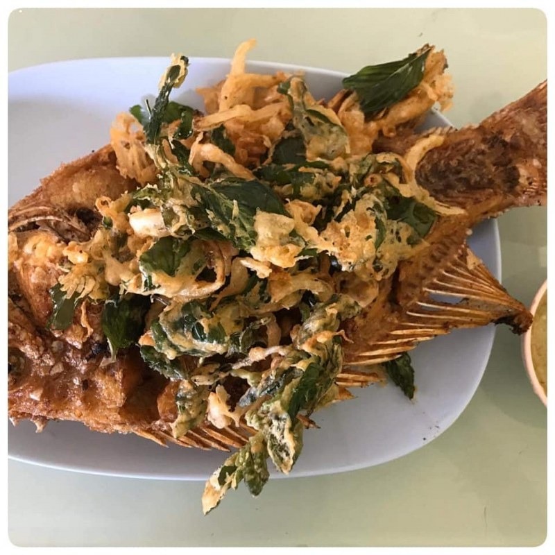 top 12+ ร้านอาหารเหนือเชียงใหม่ 2567 บรรยากาศดี รสชาติอร่อยแบบต้นตำรับ