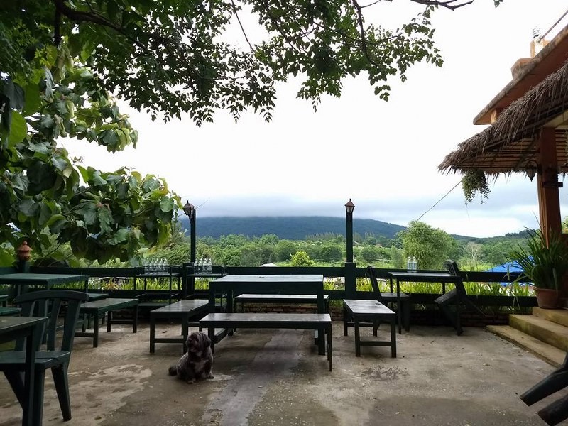 top 12+ ร้านอาหารวังน้ำเขียว 2567 บรรยากาศดี ราคาถูก ติดถนน เดินทางสะดวก