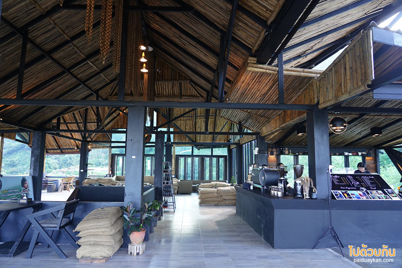 คาเฟ่ดอยช้าง, ดอยช้าง, เที่ยวดอยช้าง, top 12+ คาเฟ่ดอยช้าง ดีไซน์สวยวิวสุดปัง